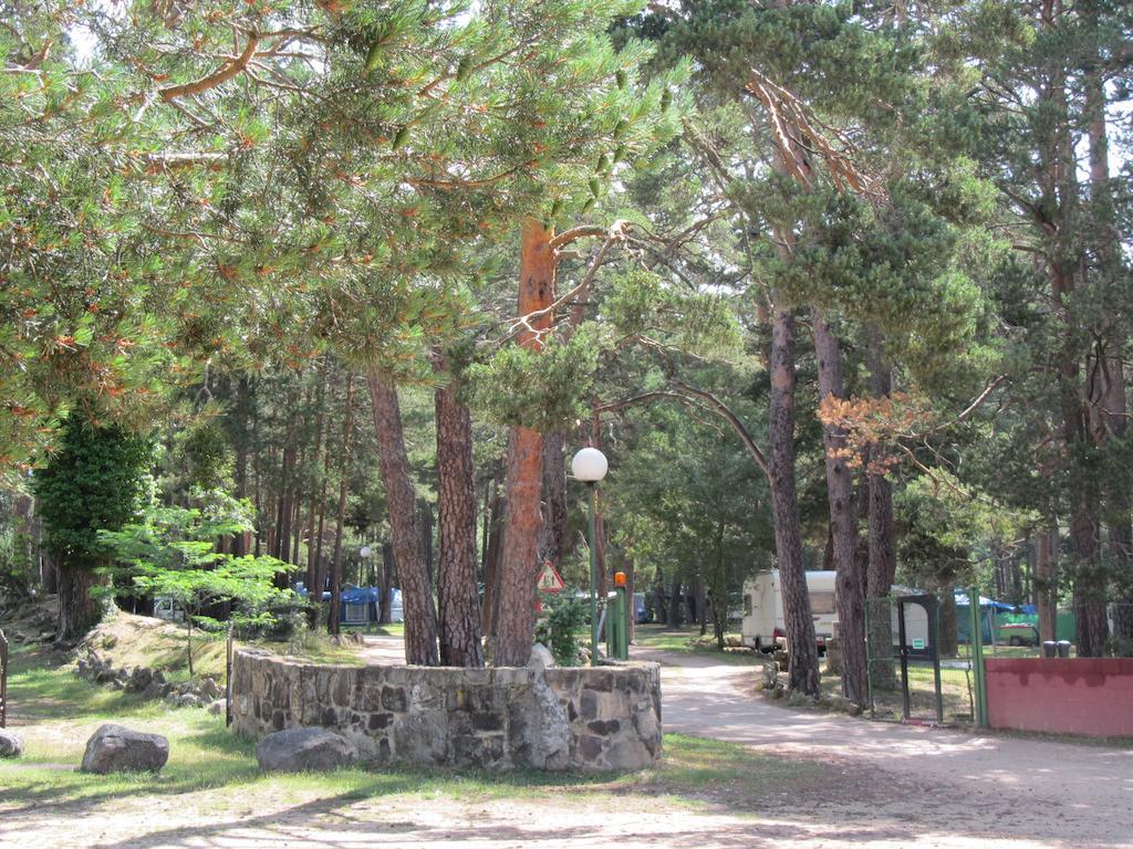 Camping Cobijo Вінуеса Екстер'єр фото